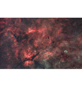 Nikon Z6 défiltrage aux choix